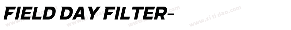 Field Day Filter字体转换